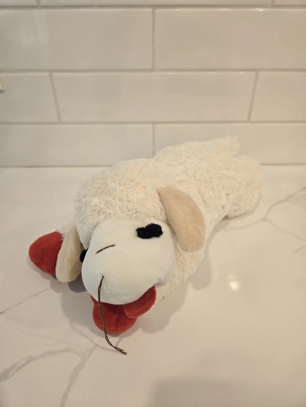 Lamb Chop Dog Toys